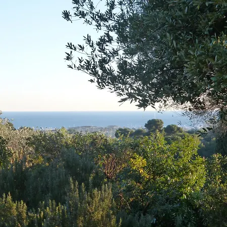 Dans La Cypra Bed & Breakfast