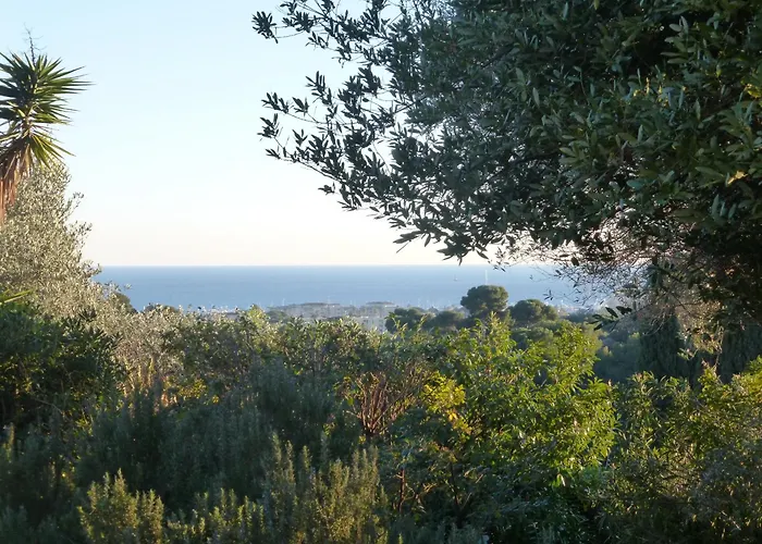 Dans La Cypra Bed & Breakfast